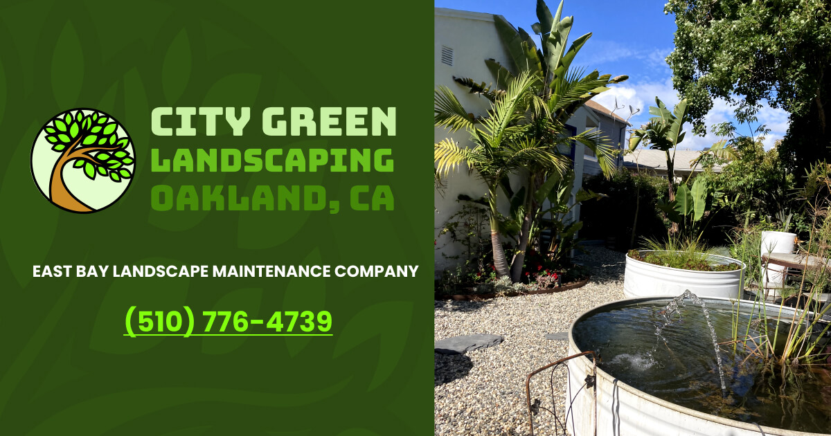 City Green Landscaping | Oakland, CA